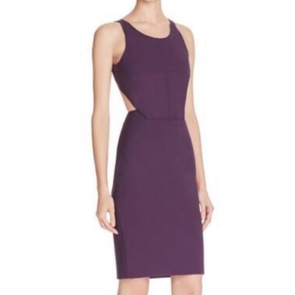 Elizabeth and James Dress